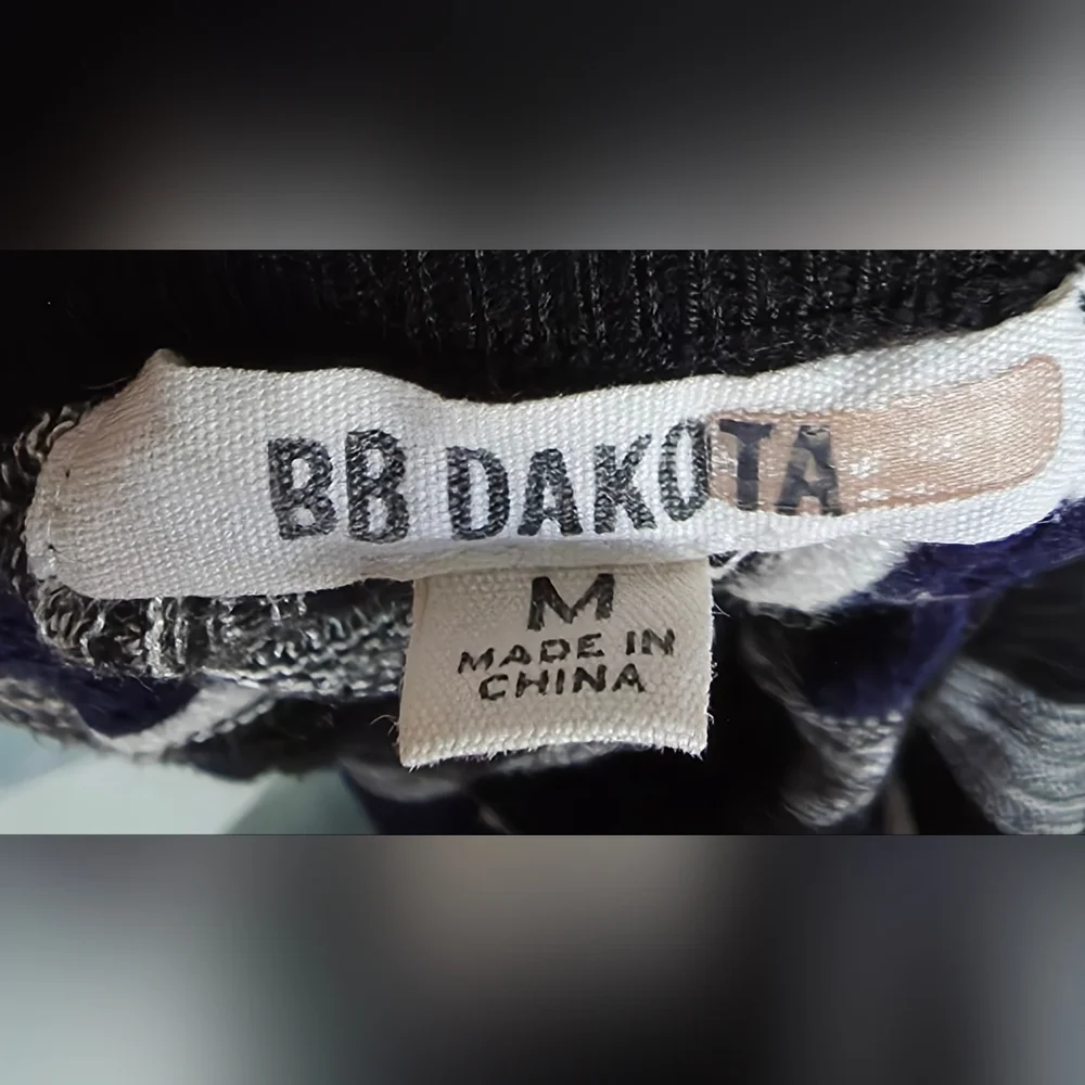 BB Dakota Black and White Striped Skirt